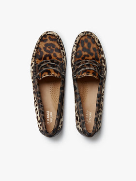 Whitney Leopard Penny Loafers