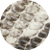 Embossed Snakeskin